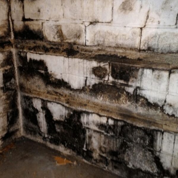 Interior waterproofing basement in Toronto - before