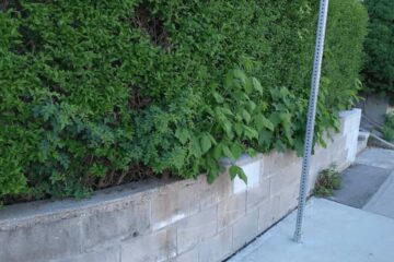 Concrete Wall Overlay in Mississauga (Before)