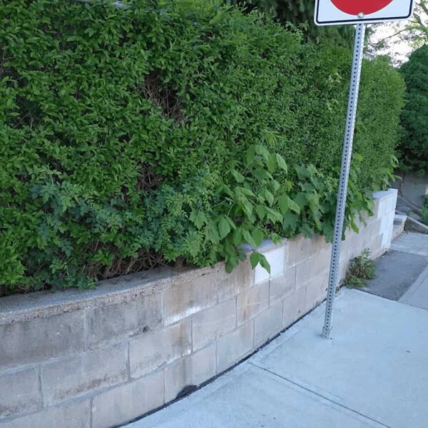 Concrete Wall Overlay in Mississauga (Before)